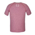 T-SHIRT BABOLAT CREW NEK TEE LEBRON ROUGE
